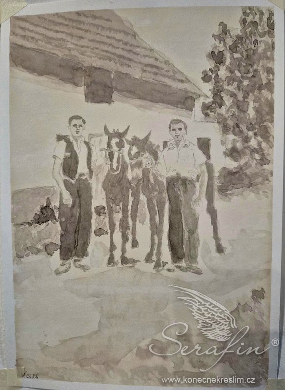 Obrázek
