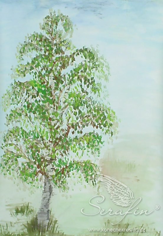 Obrázek
