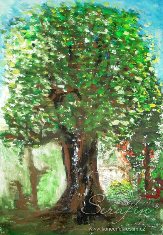 Obrázek