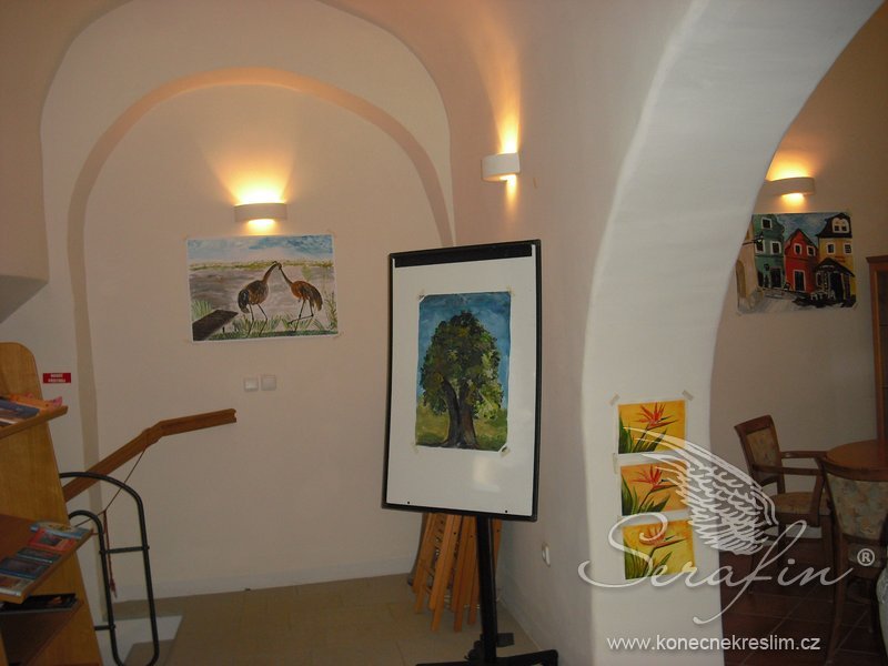 Obrázek