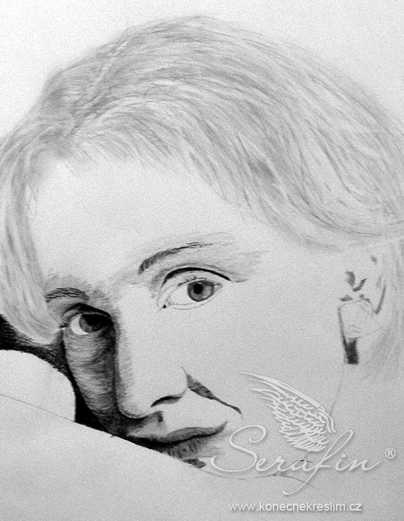 Obrázek
