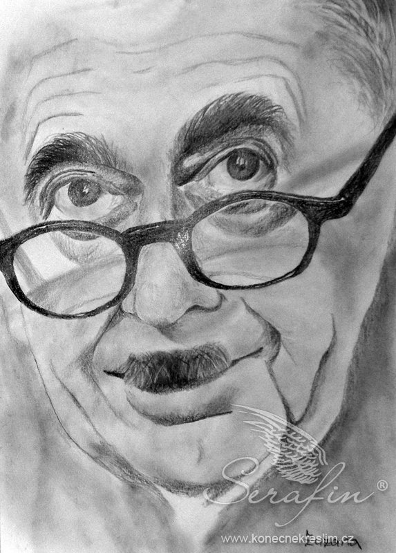 Obrázek