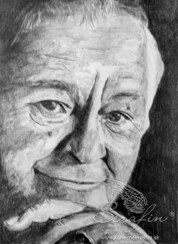 Obrázek