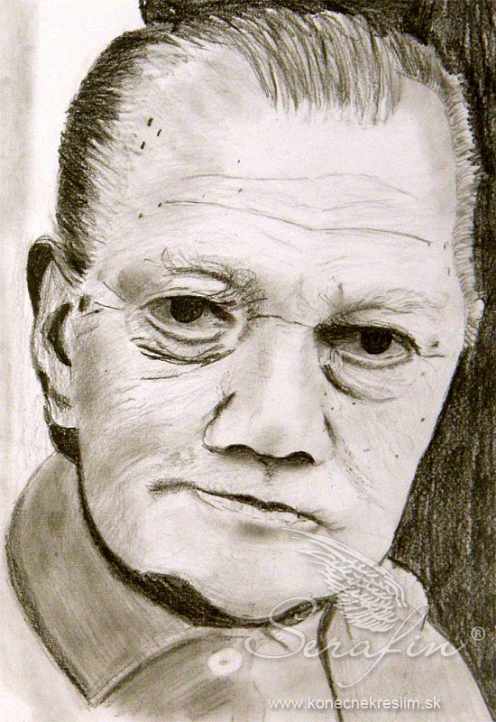 Obrázek